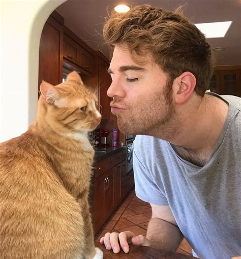 what did shane dawson do to his cat